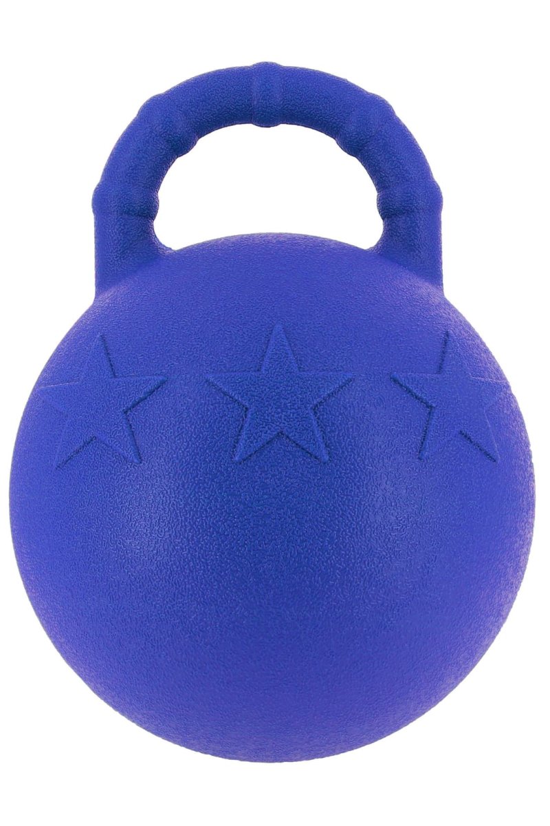 Ballon à poignée HIPPOTONIC – Image 4